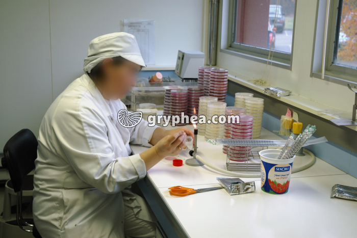 Fabrication des yaourts - Laboratoire de contrôle en microbiologie - gryphea.com